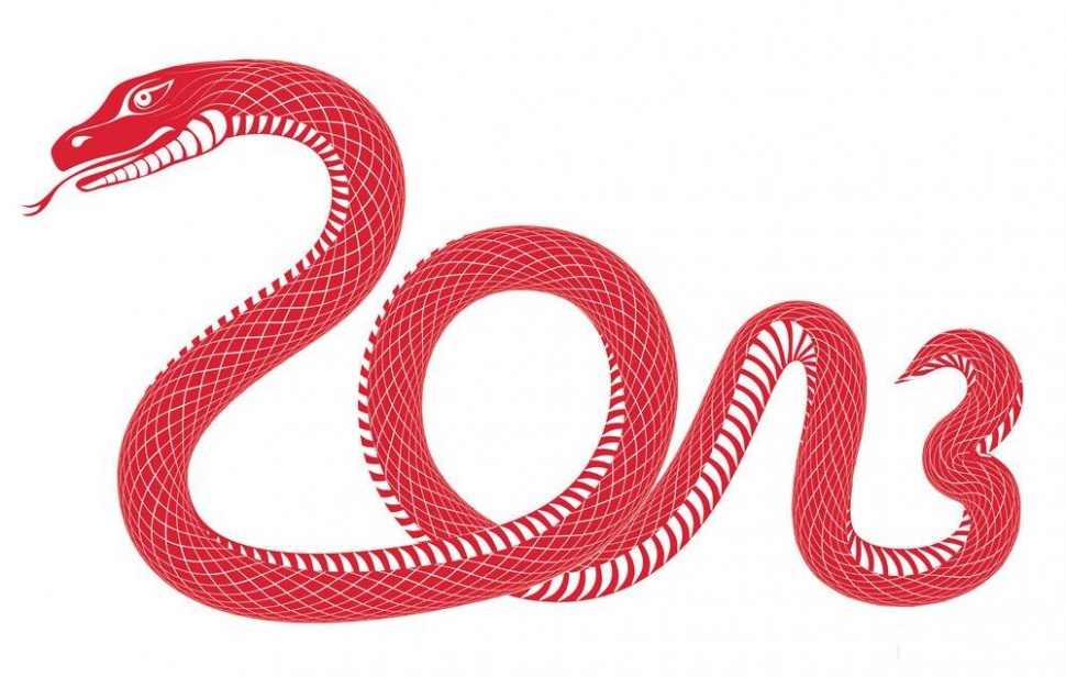 属蛇人2015年全年运势 属蛇人2015年各月份运势分解
