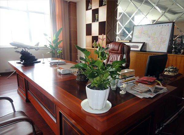 超详细舙室家具摆放风水_办公桌上绿植摆放风水_办公室摆放植物风水