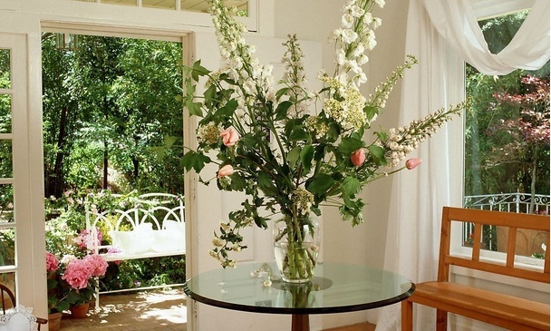 客厅放植物风水_风水花卉有哪些客厅放_客厅花卉如何摆放风水