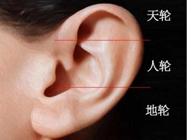 耳朵面相分析图解男提耳 从你耳朵面相，这5点看你命运如何？请看图解大全(耳朵低于眼睛面相)