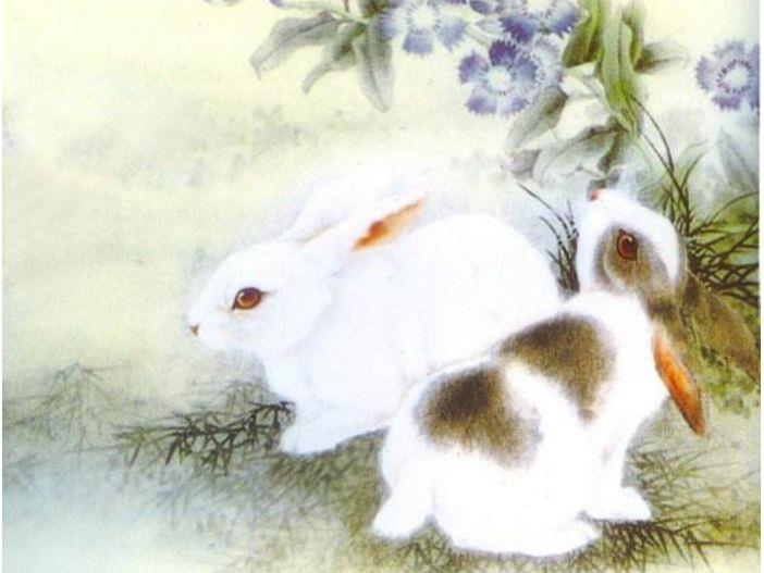 男鼠女兔相刑破解方法_男的属鼠女的属兔_男鼠女兔相配
