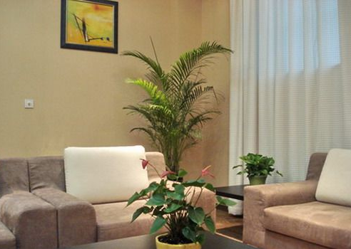 家里客厅摆植物风水_植物客厅风水_风水客厅植物
