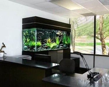 
生肖蛇的办公室座位朝向和办公室的风水布局，你知道吗？