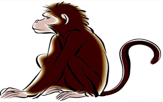 2015年生肖猴每月运势_生肖属猴的在2023年运势_92年生肖猴2021年运势
