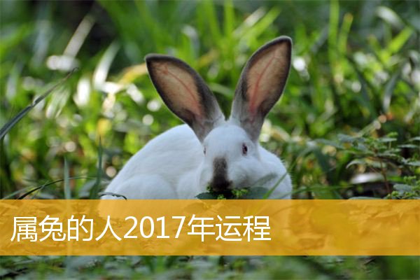 2015年兔人每月运程_兔人2015年每月运程_2020年属兔人每月运程女