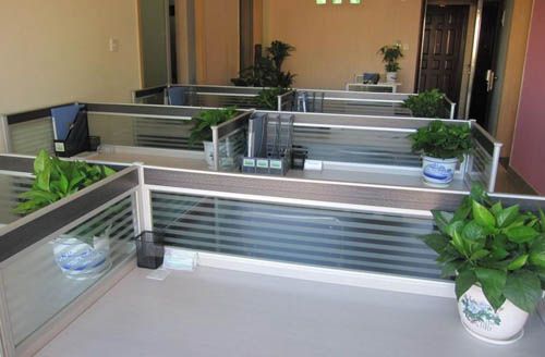 办公桌的植物摆放风水_办公桌适合放什么植物风水好_客厅放几盆植物好风水