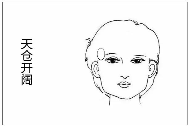 鼻子相学图解女_面相的方位_面相方向怎么看