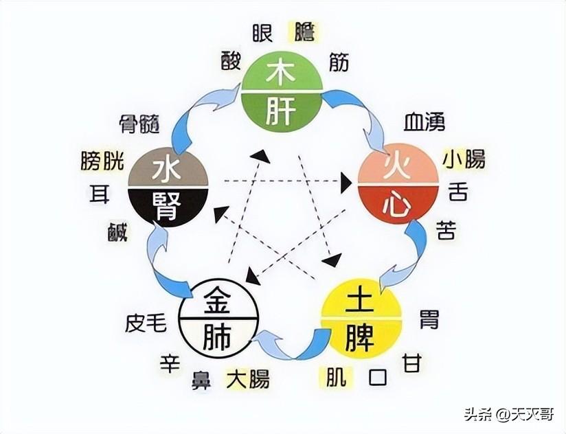 阴阳的矛盾对立统一运动规律是中国古代哲学的一对范畴