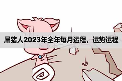 属猪人2023年全年每月运程怎么样？