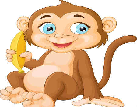 属猴的女人性格特点有哪些？有你吗？
